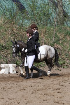 Bild 579 - WBO-Turnier am 9.4.11